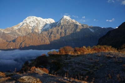 np19_2019-11-21_06-58-12_DSC02874