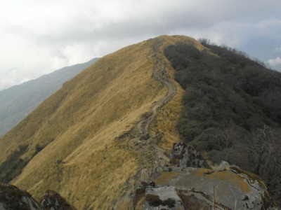 np19_2019-11-21_08-53-47_SAM_4089