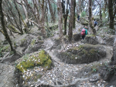 np19_2019-11-21_10-23-43_SAM_4092