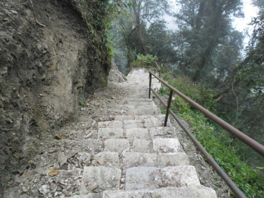 np19_2019-11-21_13-15-50_SAM_4100