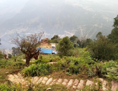 np19_2019-11-21_14-04-45_IMG_20191121_140443000_HDR_stitch