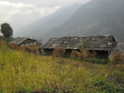 np19_2019-11-21_15-19-54_SAM_4111