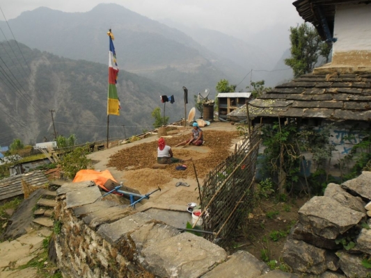 np19_2019-11-21_15-21-45_SAM_4113