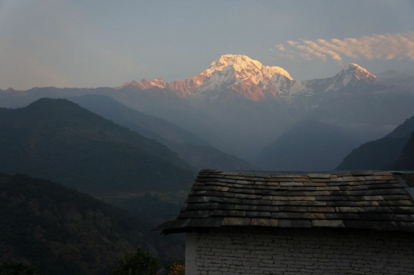 np19_2019-11-22_06-36-07_DSC02904