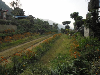 np19_2019-11-22_08-03-41_SAM_4116