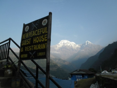 np19_2019-11-22_08-04-41_SAM_4119