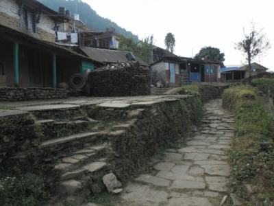 np19_2019-11-22_08-05-15_SAM_4120