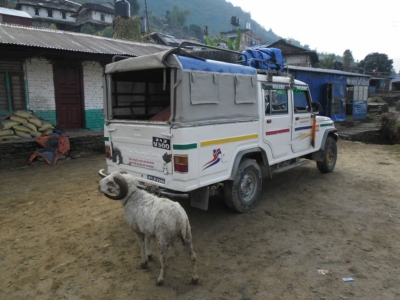 np19_2019-11-22_08-44-49_SAM_4129