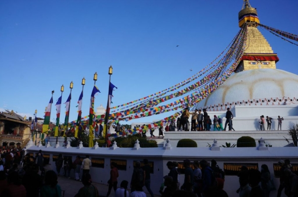 npb19_2019-11-16_15-44-00_DSC02709