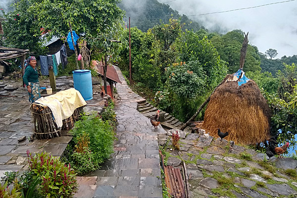 Neljäs retkipäivä Thumsikot-Gahate-Pokhara. Nepal 2023
